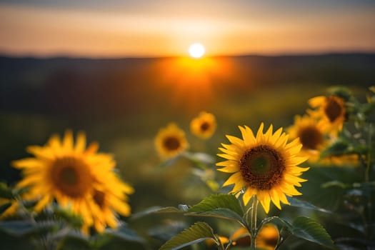 Sunflower field sunset evening nature landscape yellow dark background alt generated ai. High quality illustration