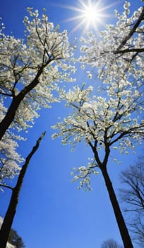 trees spring white blossom nature blue sky background illustration brunch sun lights generated ai alt