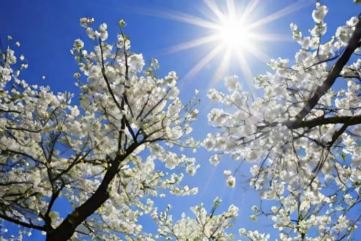 trees spring white blossom nature blue sky background illustration brunch sun lights generated ai alt