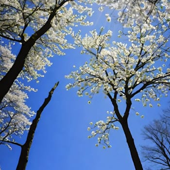 trees spring white blossom nature blue sky background illustration brunch sun lights generated ai alt