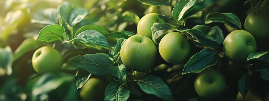 apples grow on a tree with orchard, Generative AI, food