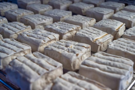 a view of lot of neufchatel cheeses