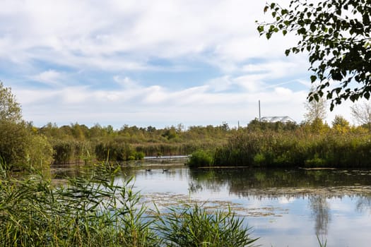 Beautiful landscape with lake in forest on autumn day. High quality photo