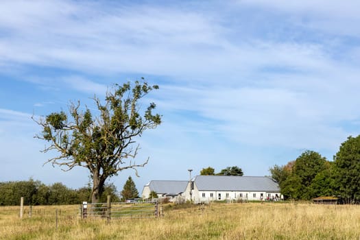 Country road among fields and forests. Rural landscape. High quality photo