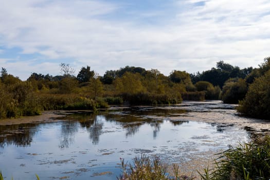 Beautiful landscape with lake in forest on autumn day. High quality photo
