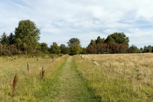 Country road among fields and forests. Rural landscape. High quality photo