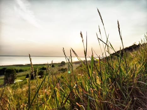 Tall grass catches the last light of day as the sun sets over the calm waters by the shore, creating a serene atmosphere.