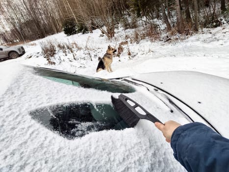 On a cold winter day, a person clears snow from a car's windshield using a brush while a dog observes from a distance.