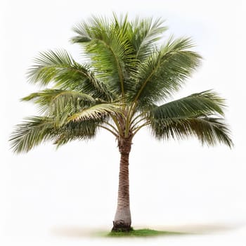 palm tree over white background, AI generated image