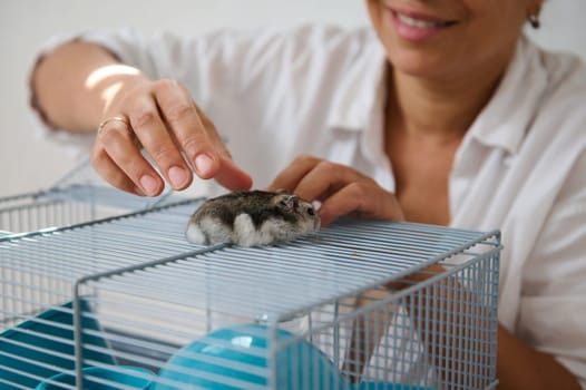 A close-up of a woman carefully touching a hamster resting on its cage, highlighting affection and care.