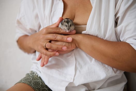 Hands carefully cradling a small hamster, depicting warmth and a nurturing bond.