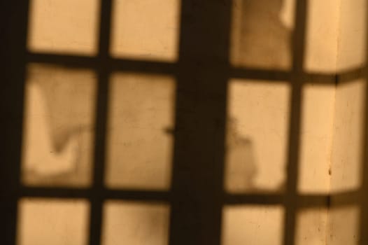 Light filters through a window, casting intricate shadows and textures on the weathered wall, evoking nostalgia.
