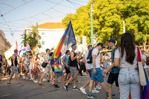 Crowd of homosexual men and women with rainbow flags walking at gay pride parade on city street. Males and females are celebrating LGBTQ rights during sunny day