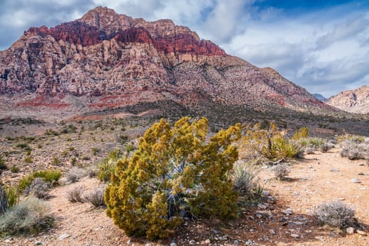 View of the desert and the mountains near Red Rock Canyon in Las Vegas, Nevada