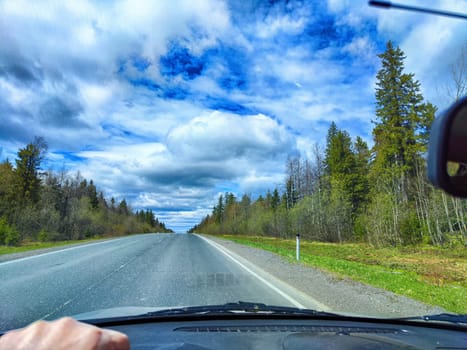 Car salon, windshield, hand of woman on steering wheel and landscape. View from seat of driver on nature with Road, tree and blue sky at sunny day