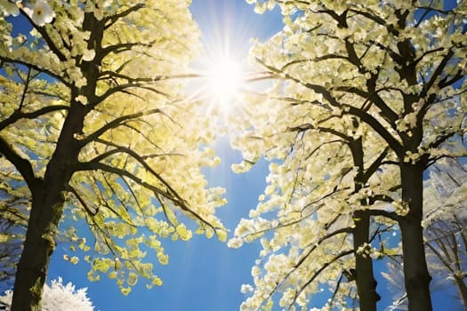 spring, white flowering trees nature park forest plants flora sun lights alt generate ai. High quality illustration