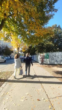 October 15 2024 Prague Czech Republic Tree urban street autumn nature evening day people womens walking . High quality photo