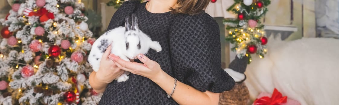 close-up view of the woman hands with the rabbit. holding cute furry rabbit. Friendship with Bunny. cute fluffy pet.