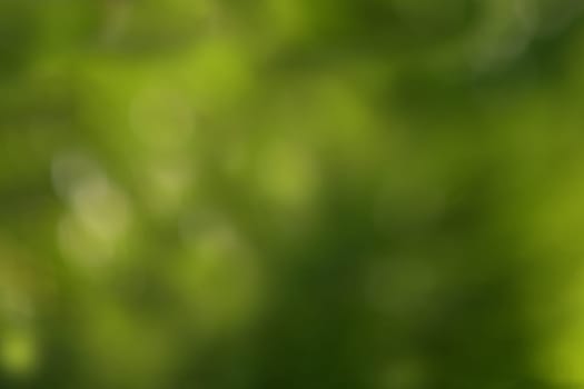 Green blurred background with bokehs