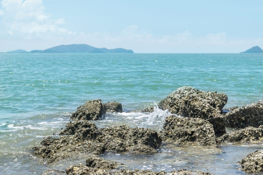 Landscape of travel place with nature at a beach and tropical sea with blue sky and have a reef and rock beach with oyster shell