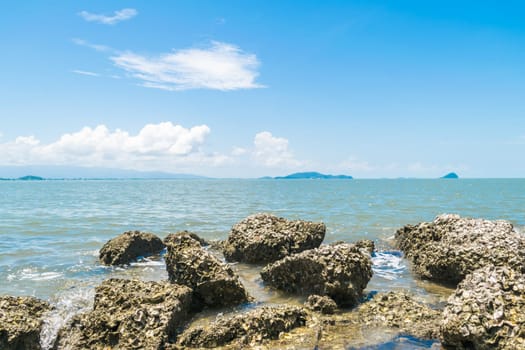 Landscape of travel place with nature at a beach and tropical sea with blue sky and have a reef and rock beach with oyster shell