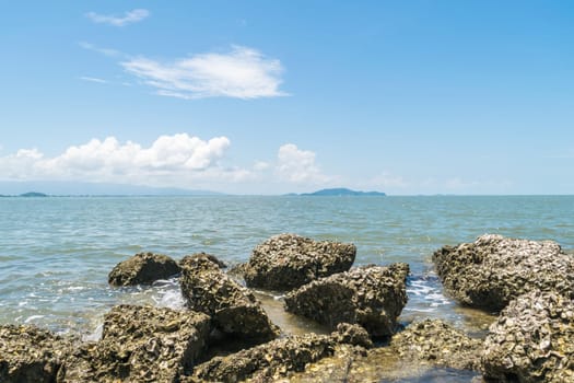Landscape of travel place with nature at a beach and tropical sea with blue sky and have a reef and rock beach with oyster shell