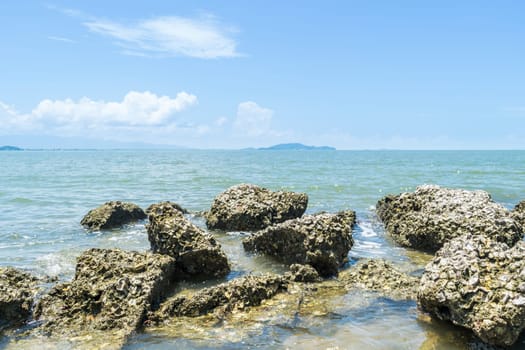 Landscape of travel place with nature at a beach and tropical sea with blue sky and have a reef and rock beach with oyster shell