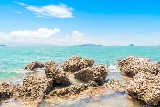 Landscape of travel place with nature at a beach and tropical sea with blue sky and have a reef and rock beach with oyster shell