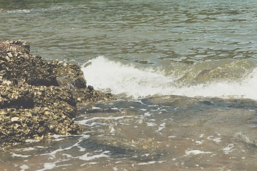 Landscape of travel place with nature at a beach and tropical sea have a reef and rock beach with oyster shell