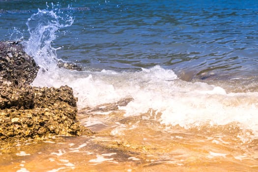 Landscape of travel place with nature at a beach and tropical sea have a reef and rock beach with oyster shell