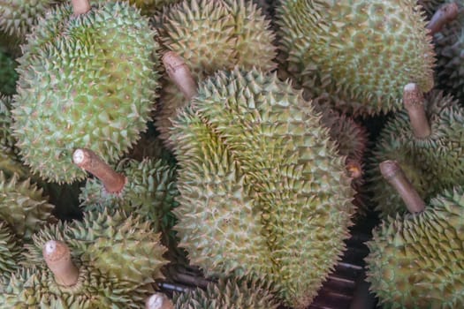 Durian king of fruit so sweet and tasty in Thailand