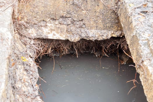 Working for drain cleaning. Problem with the drainage system.