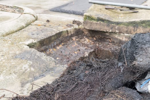 Working for drain cleaning. Problem with the drainage system.