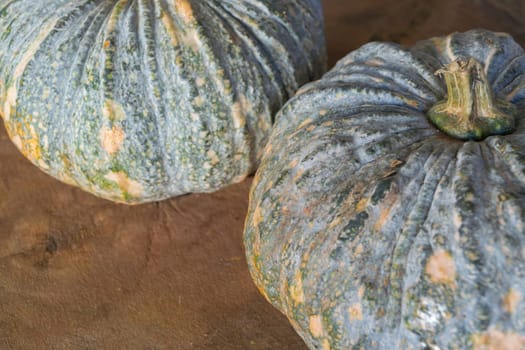 Pumpkin is a fresh vegetable have a green and yellow color on a wooden table