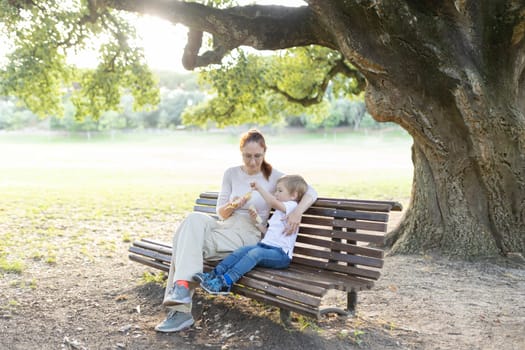 Mother and her son are enjoying a snack together on a park bench, creating a heartwarming moment of connection