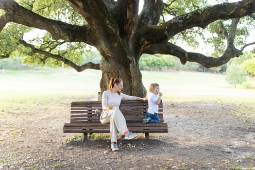 Mother and her son are enjoying each other's company while sitting on a park bench under a large tree