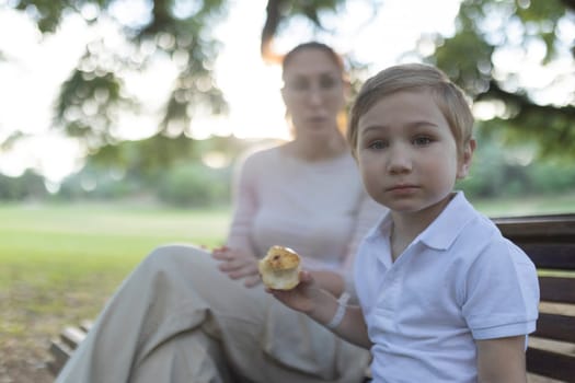 Young boy is holding a half-eaten apple while sitting on a park bench with his out of focus mother