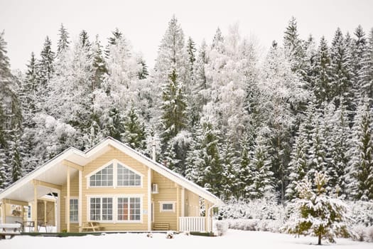 beautiful country house in a snowy pine forest, night lighting, winter fairy tale. High quality photo