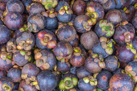 Thai exotic fruits (Mangosteen) in market. Like the charming people, exotic fruit greets you on almost every corner in Thailand.