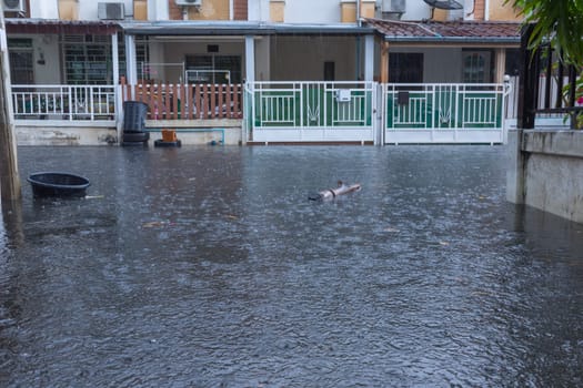 Water flood village in Don Mueang district. Problem with the drainage system.