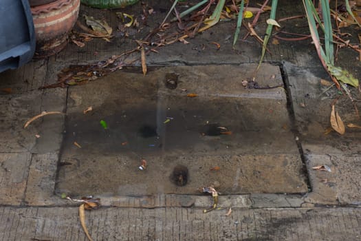 Working for drain cleaning. Problem with the drainage system.