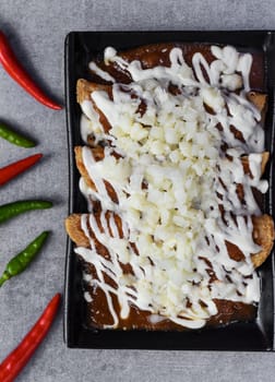 Chilaquiles with chicken and sour cream and sauce with many vegetables on a gray background