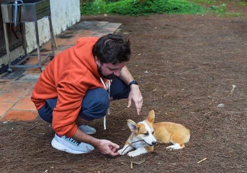 Young bearded man playing with his corgi dog in the forest in the morning