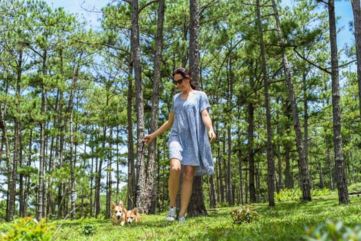 Young woman walking with her corgi dogs in the forest