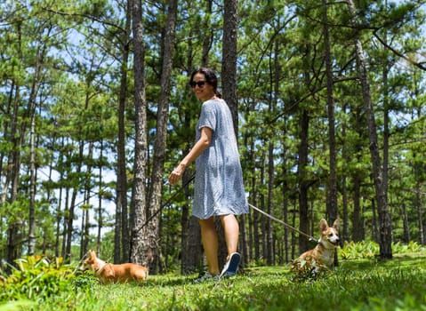 Young woman walking with her corgi dogs in the forest