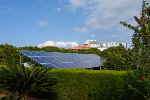 Solar panels capture sunlight behind vibrant orange trees, blending nature with technology in a tranquil setting.