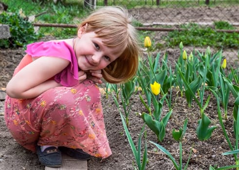 Pretty little girl smiling shyly and sitting next to the bed of yellow tulips on a spring March day in village