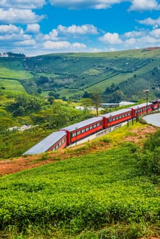 Red train in tea field in Da Lat Vietnam