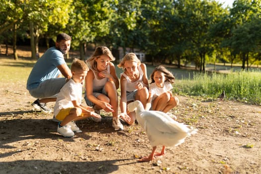 Family interacting with ducks in a sunny park setting