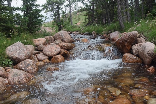 Water cascades over stones in a serene stream surrounded by lush grass and trees.